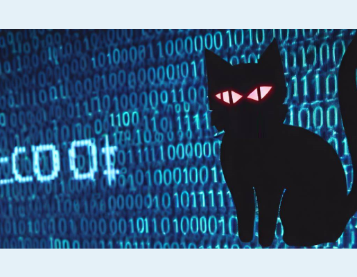 Imagen de código no binario con un gato negro