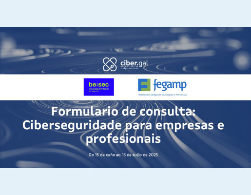 Formulario de consulta: Ciberseguridade para empresas e profesionais