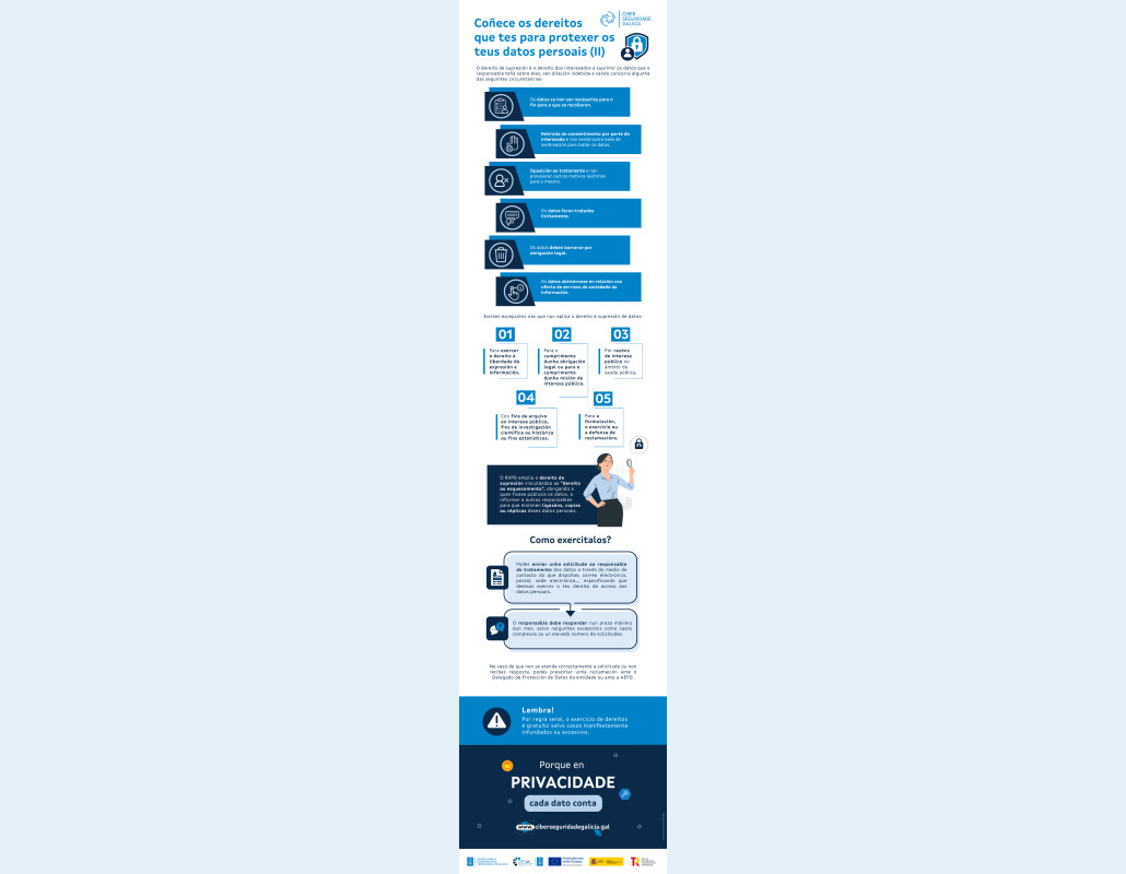 infografia datos persoais