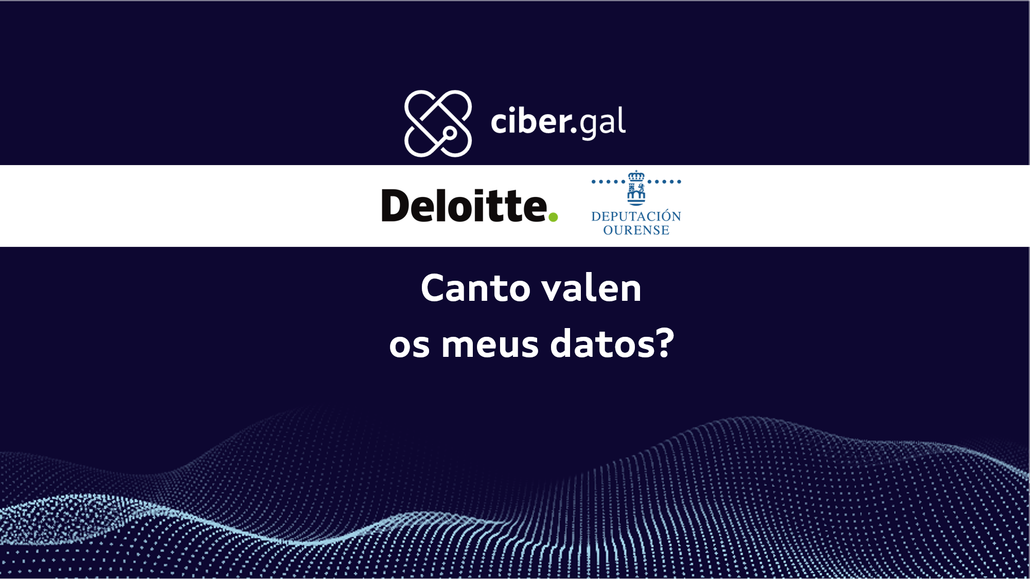 Canto valen os meus datos?