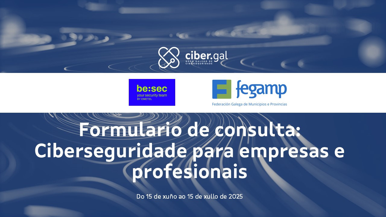 Formulario de consulta: Ciberseguridade para empresas e profesionais