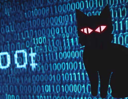 Imagen de código no binario con un gato negro