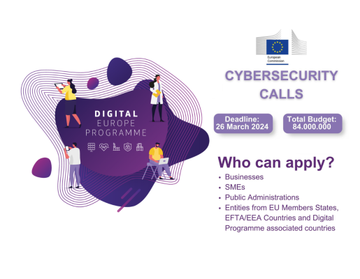 Programa Europa Dixital