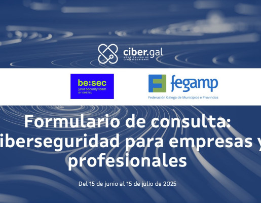 Formulario de consulta: Ciberseguridad para empresas y profesionales